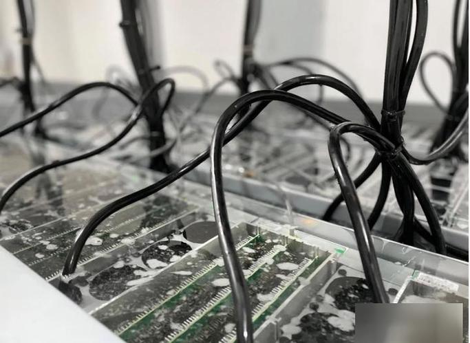 High-performance multi-chain mining rig setup in hosting facility