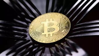 Bitcoin mining rig on a server rack